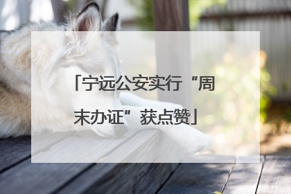 宁远公安实行“周末办证”获点赞