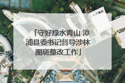 守好绿水青山 漳浦县委书记督导涉林图斑整改工作