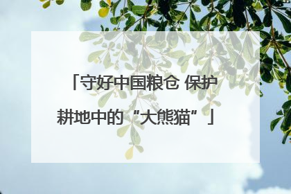 守好中国粮仓 保护耕地中的“大熊猫”