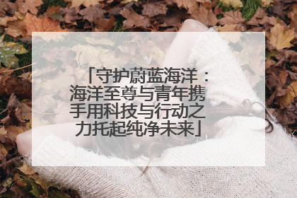 守护蔚蓝海洋：海洋至尊与青年携手用科技与行动之力托起纯净未来