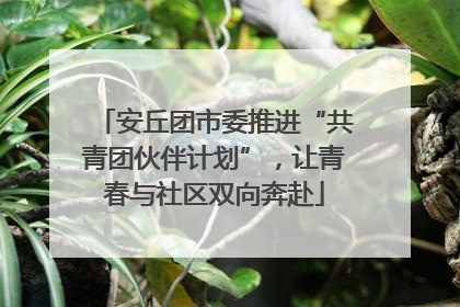 安丘团市委推进“共青团伙伴计划”，让青春与社区双向奔赴
