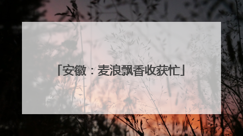 安徽：麦浪飘香收获忙