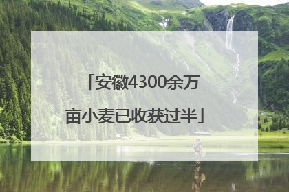 安徽4300余万亩小麦已收获过半