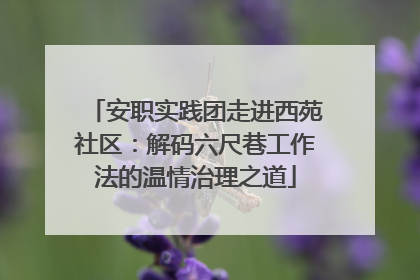 安职实践团走进西苑社区：解码六尺巷工作法的温情治理之道