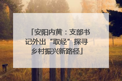 安阳内黄：支部书记外出“取经”探寻乡村振兴新路径