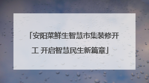 安阳菜鲜生智慧市集装修开工 开启智慧民生新篇章