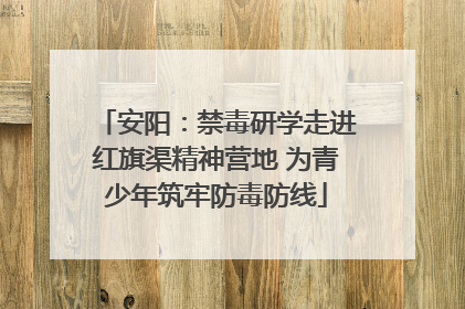 安阳：禁毒研学走进红旗渠精神营地 为青少年筑牢防毒防线