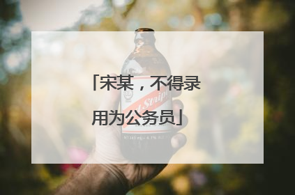 宋某，不得录用为公务员