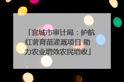 宜城市审计局：护航红薯育苗灌溉项目 助力农业增效农民增收
