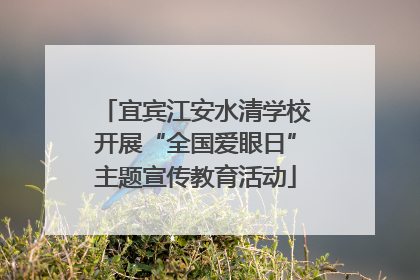 宜宾江安水清学校开展“全国爱眼日”主题宣传教育活动
