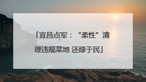 宜昌点军：“柔性”清理违规菜地 还绿于民