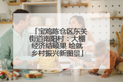 宝鸡陈仓区东关街道南阳村：大棚经济结硕果 绘就乡村振兴新图景