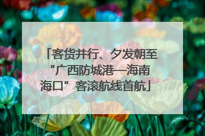 客货并行、夕发朝至 “广西防城港—海南海口”客滚航线首航