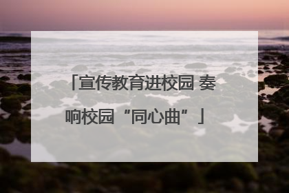 宣传教育进校园 奏响校园“同心曲”