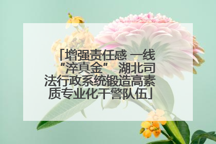 增强责任感 一线“淬真金” 湖北司法行政系统锻造高素质专业化干警队伍