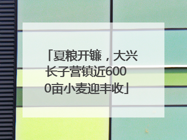 夏粮开镰，大兴长子营镇近6000亩小麦迎丰收