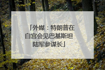 外媒：特朗普在白宫会见巴基斯坦陆军参谋长