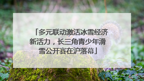 多元联动激活冰雪经济新活力，长三角青少年滑雪公开赛在沪落幕