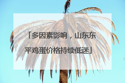 多因素影响，山东东平鸡蛋价格持续低迷