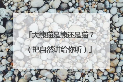 大熊猫是熊还是猫？（把自然讲给你听）