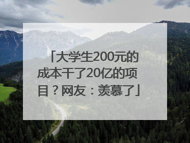 大学生200元的成本干了20亿的项目？网友：羡慕了