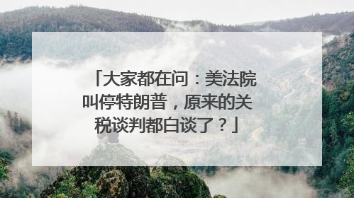 大家都在问：美法院叫停特朗普，原来的关税谈判都白谈了？