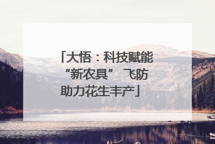 大悟：科技赋能“新农具” 飞防助力花生丰产