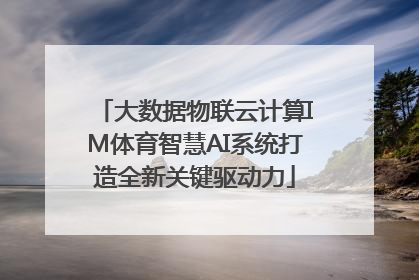 大数据物联云计算IM体育智慧AI系统打造全新关键驱动力