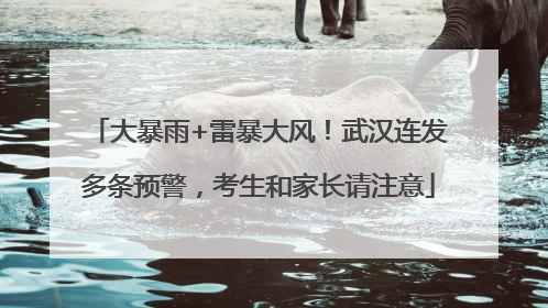 大暴雨+雷暴大风！武汉连发多条预警，考生和家长请注意