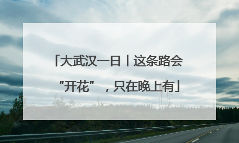 大武汉一日丨这条路会“开花”，只在晚上有