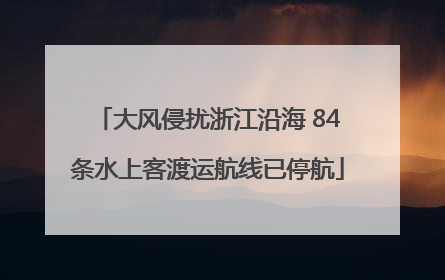 大风侵扰浙江沿海 84条水上客渡运航线已停航