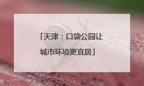 天津：口袋公园让城市环境更宜居