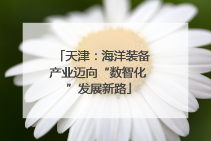 天津：海洋装备产业迈向“数智化”发展新路
