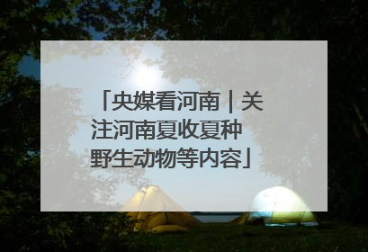 央媒看河南｜关注河南夏收夏种 野生动物等内容