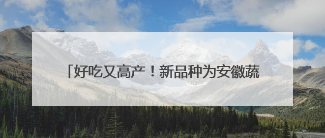 好吃又高产！新品种为安徽蔬菜产业高质发展注入科技动能