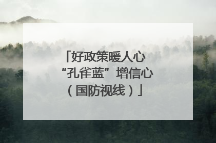好政策暖人心 “孔雀蓝”增信心（国防视线）