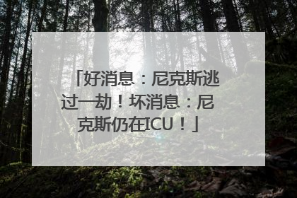 好消息：尼克斯逃过一劫！坏消息：尼克斯仍在ICU！
