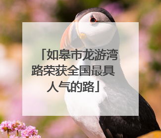 如皋市龙游湾路荣获全国最具人气的路