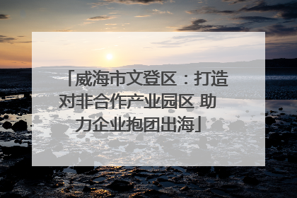 威海市文登区：打造对非合作产业园区 助力企业抱团出海