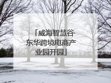 威海智慧谷·东华跨境电商产业园开园