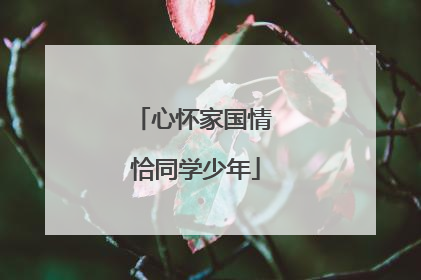 心怀家国情 恰同学少年