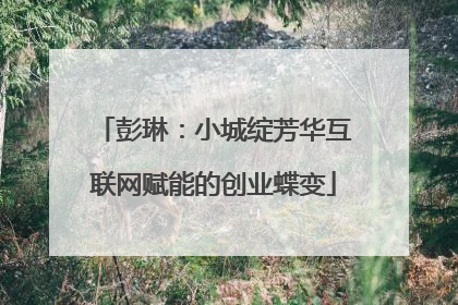 彭琳：小城绽芳华互联网赋能的创业蝶变