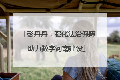 彭丹丹：强化法治保障 助力数字河南建设