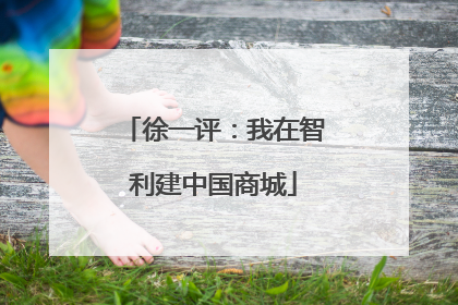 徐一评：我在智利建中国商城