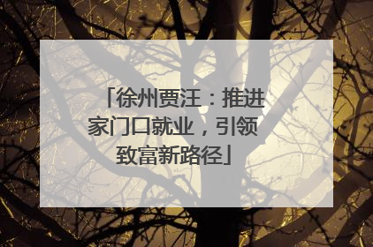 徐州贾汪：推进家门口就业，引领致富新路径