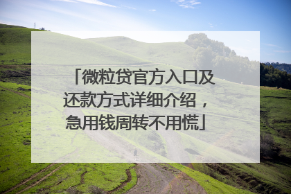 微粒贷官方入口及还款方式详细介绍，急用钱周转不用慌