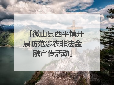 微山县西平镇开展防范涉农非法金融宣传活动