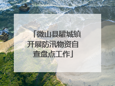 微山县驩城镇开展防汛物资自查盘点工作