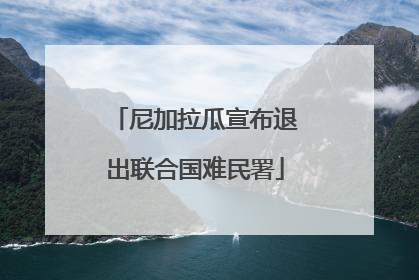 尼加拉瓜宣布退出联合国难民署
