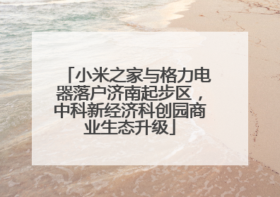 小米之家与格力电器落户济南起步区，中科新经济科创园商业生态升级